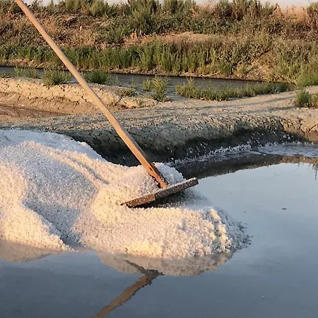 Maison Pour 4 A Entre Port Et Ars-en-Ré